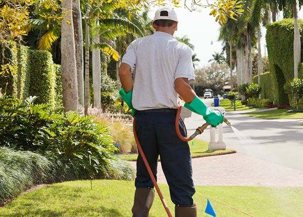 About Essex Fells NJ Pest Control Pros